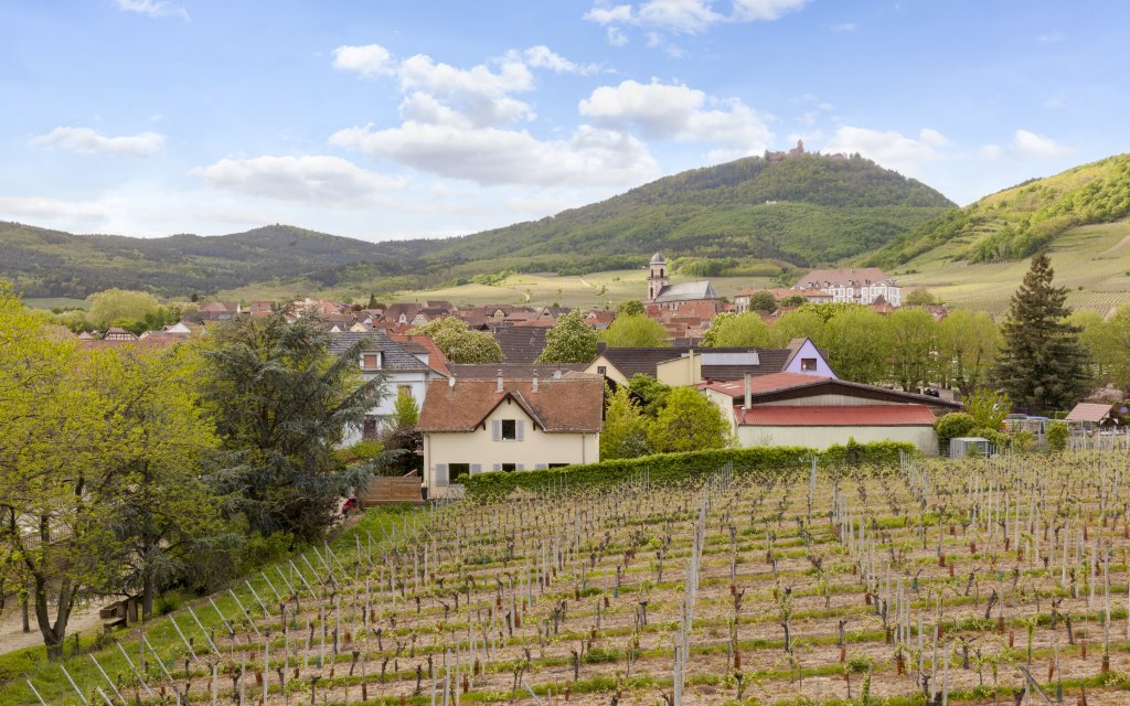 SaintHippolyte Elsass Urlaub buchen
